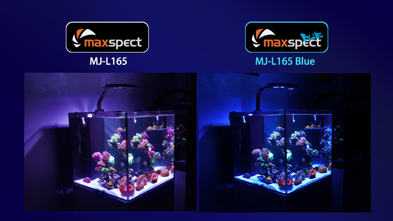 最新サンゴ用 マックススペクト MJ-L165 Blue Edition 限定版 www 